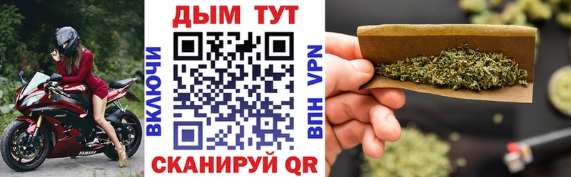 Купить  Правдинск  Бошки Шишки ГИДРОПОН 